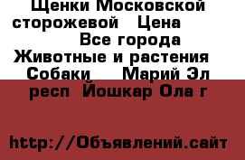 Щенки Московской сторожевой › Цена ­ 35 000 - Все города Животные и растения » Собаки   . Марий Эл респ.,Йошкар-Ола г.